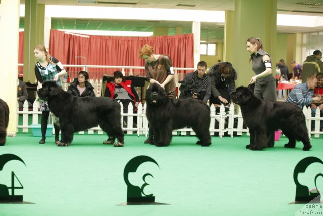 Фотография № 93647