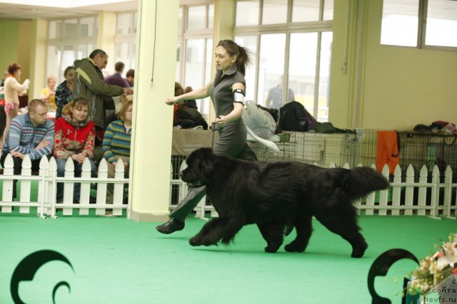 Фотография № 93648