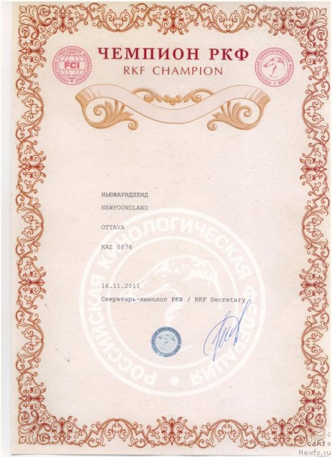 Фотография № 93650