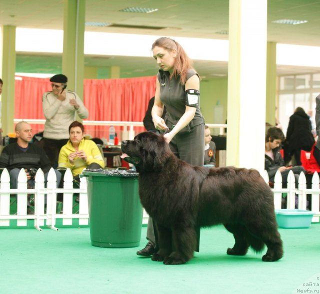 Фотография № 93660