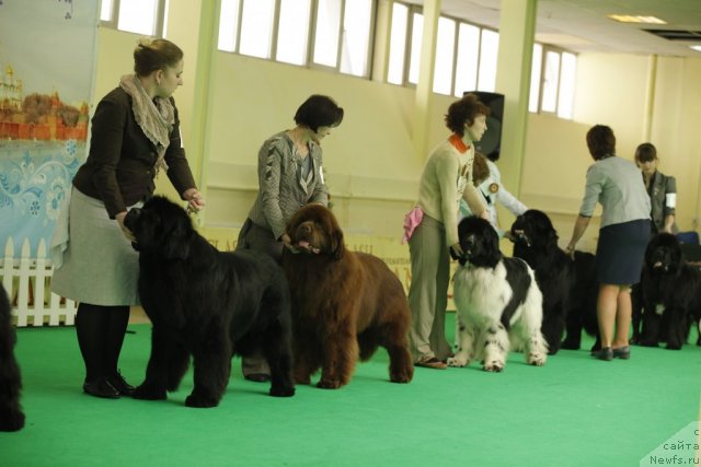 Фотография № 93665