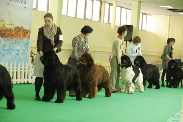 Фотография № 93666