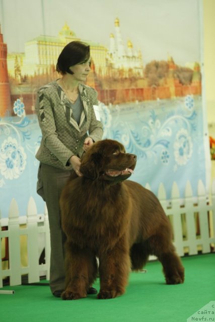 Фотография № 93668