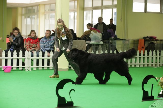 Фотография № 93938