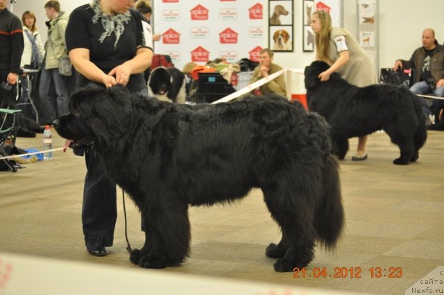 Фотография № 94028