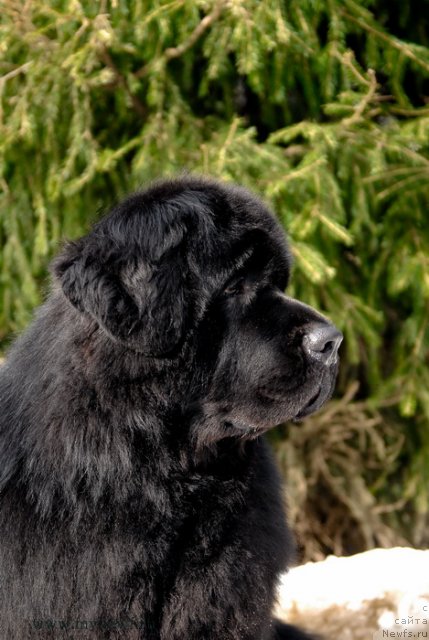 Фотография № 94036