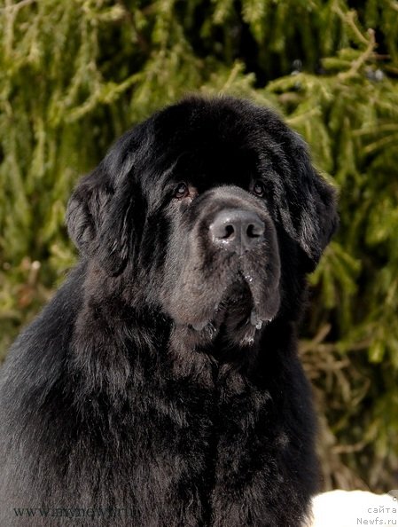 Фотография № 94037