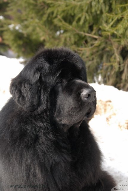 Фотография № 94042