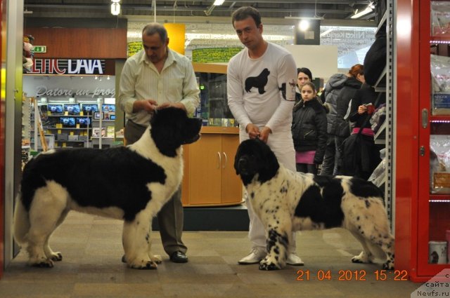 Фотография № 94048