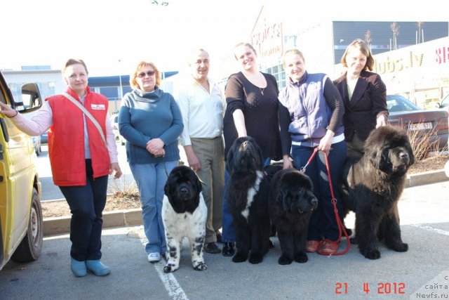 Фото: Ol'ga Zalivako (Ольга Заливако), ньюфаундленд Akvian Song Zero Graviti (Аквиан Сонг Зеро Гравити), Tat'yana Aktuganova (Татьяна Актуганова), ньюфаундленд Love Me Tender Midnight Bear, Anastasiya Zalivako (Анастасия Заливако), ньюфаундленд Sent Djons Handsel for Me (Сент Джонс Хендсел фо Ми), Elena Rozenfel'd (Елена Розенфельд), ньюфаундленд Zara Clark Zvezdnij Dar, Gita Dauksha (Гита Даукша)