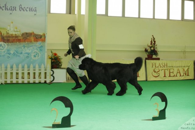 Фотография № 94060