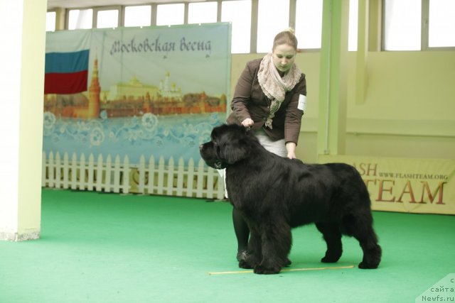 Фотография № 94061