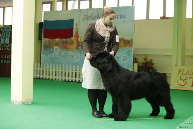 Фотография № 94063