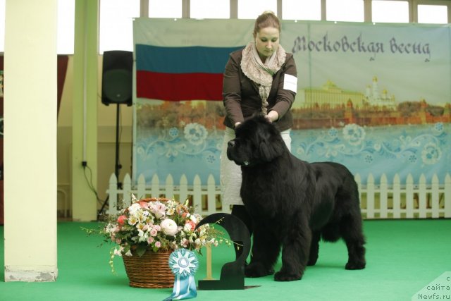 Фотография № 94065