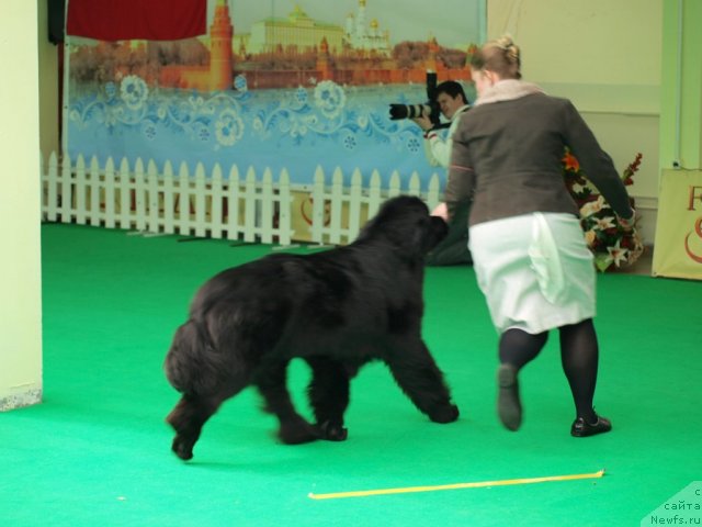 Фотография № 94068