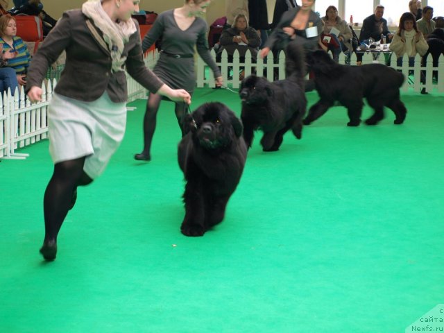 Фотография № 94070