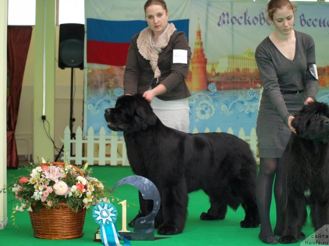 Фотография № 94072