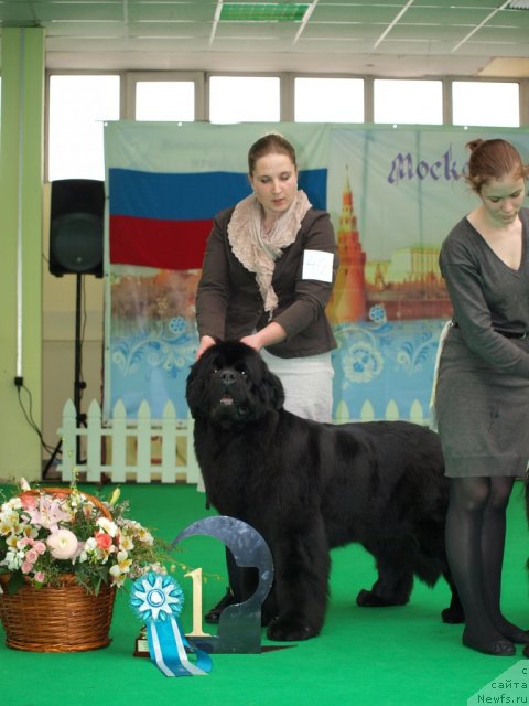 Фотография № 94073