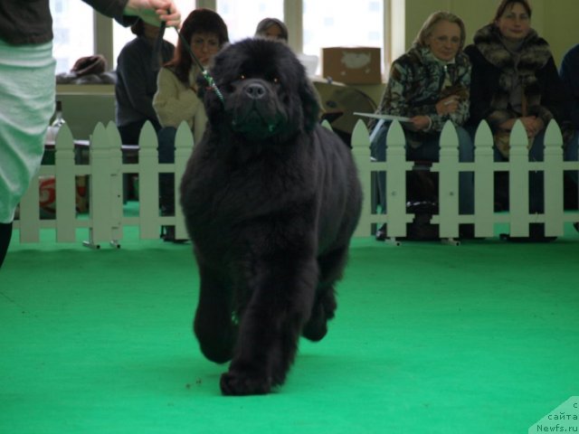 Фотография № 94074