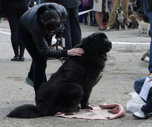 Фотография № 94209