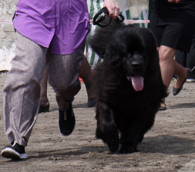 Фотография № 94213