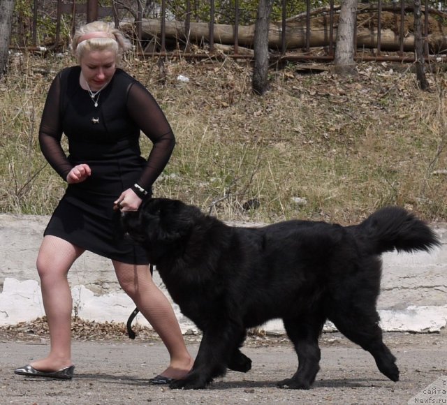 Фотография № 94214