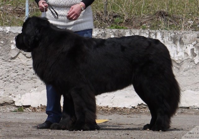 Фотография № 94217