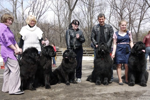 Фотография № 94220