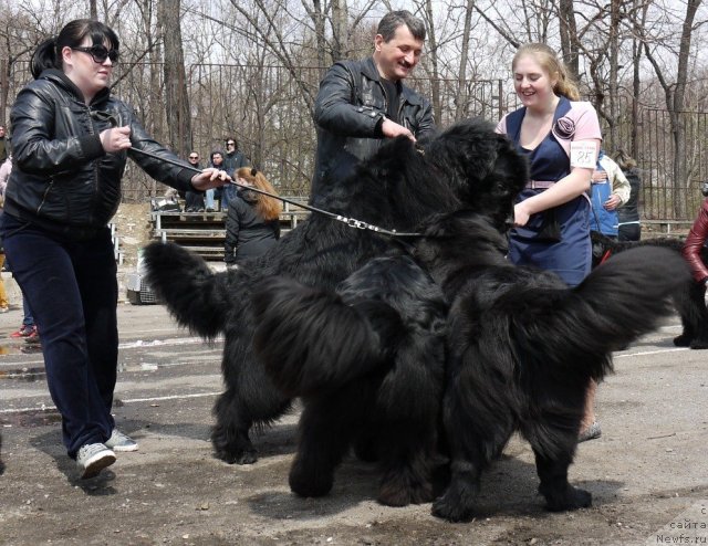 Фотография № 94221