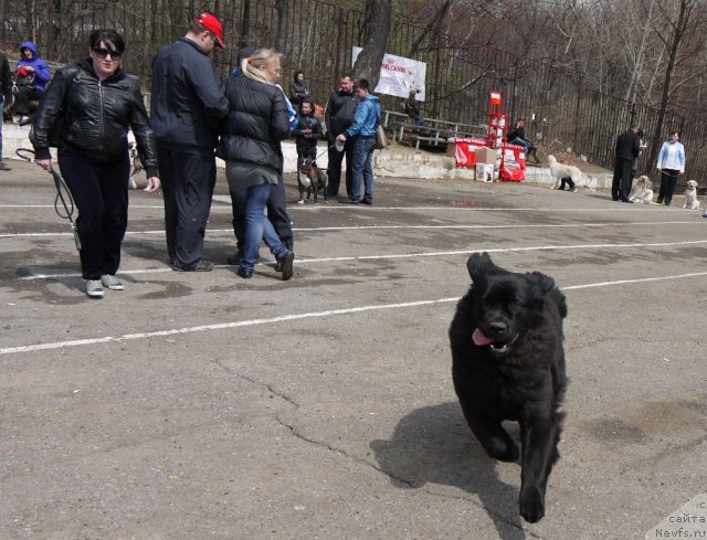 Фотография № 94222