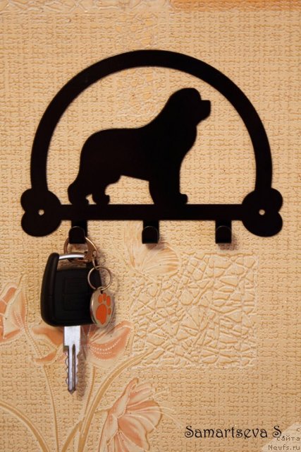 Фотография № 94298