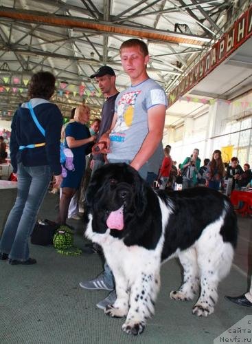 Фотография № 94302