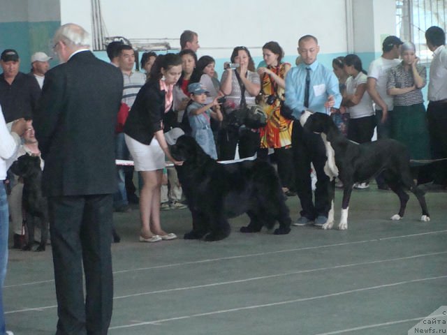 Фотография № 94318