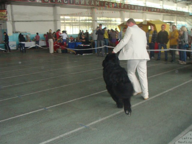 Фотография № 94319