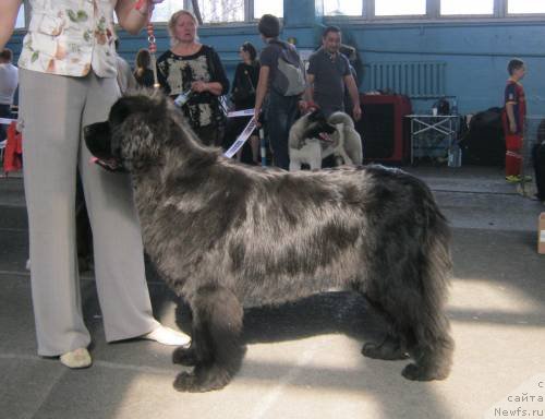 Фотография № 94321