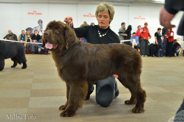 Фотография № 94371