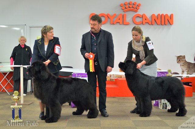 Фотография № 94372