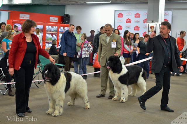 Фотография № 94378