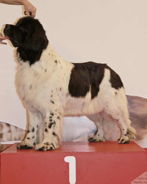 Фотография № 94428