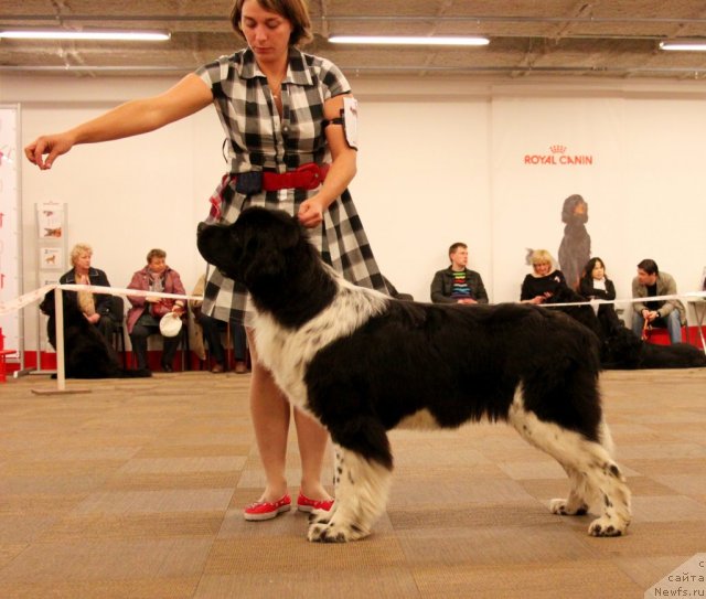 Фотография № 94432