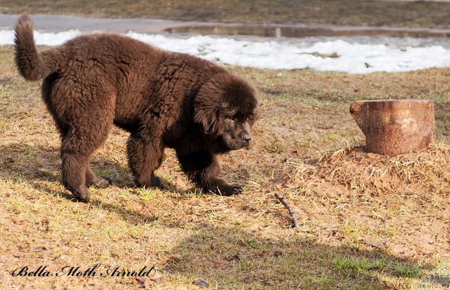 Фотография № 94450