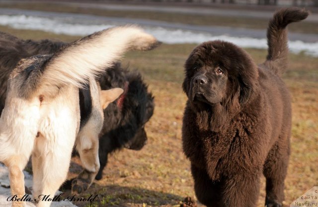 Фотография № 94451