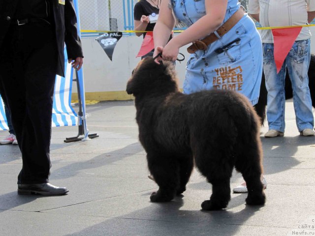 Фотография № 94458