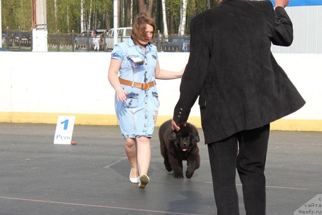 Фотография № 94466