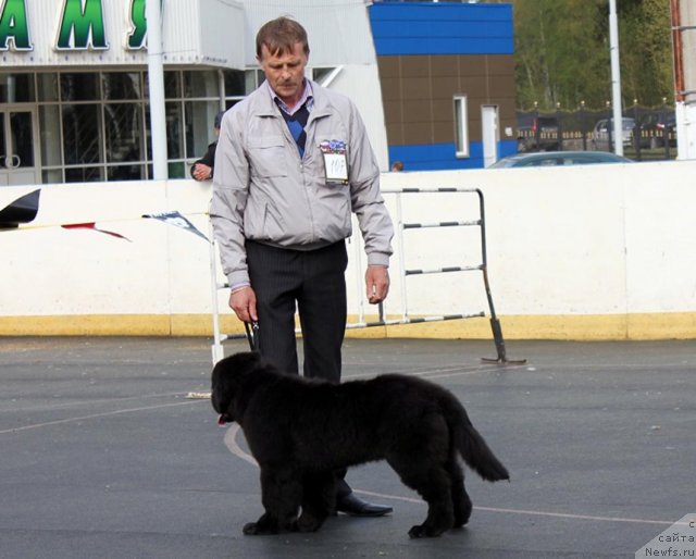 Фотография № 94473