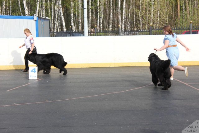 Фотография № 94475