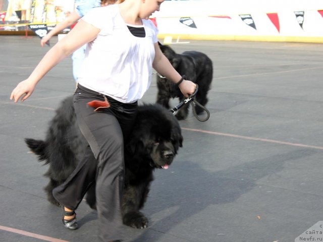 Фотография № 94476