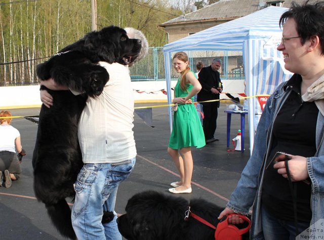 Фотография № 94478