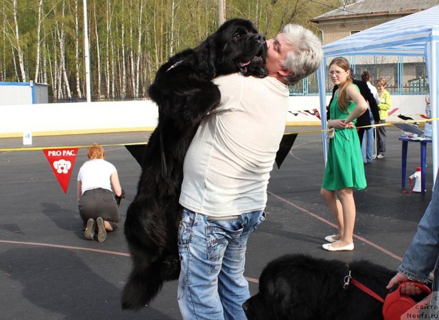 Фотография № 94479