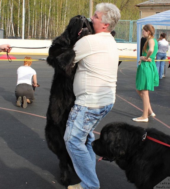 Фотография № 94480